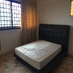 Blk 684 Race Course Road (Kallang/Whampoa), HDB 4 Rooms #44510162